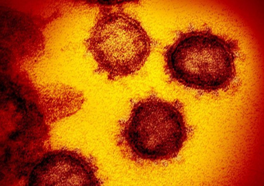 Ankthi nuk ka fund: Shfaqet një mutacion i ri i koronavirusit
