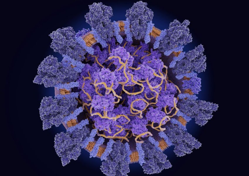 Mutacioni që pëson koronavirusi ndikon te efektshmëria e vaksinave
