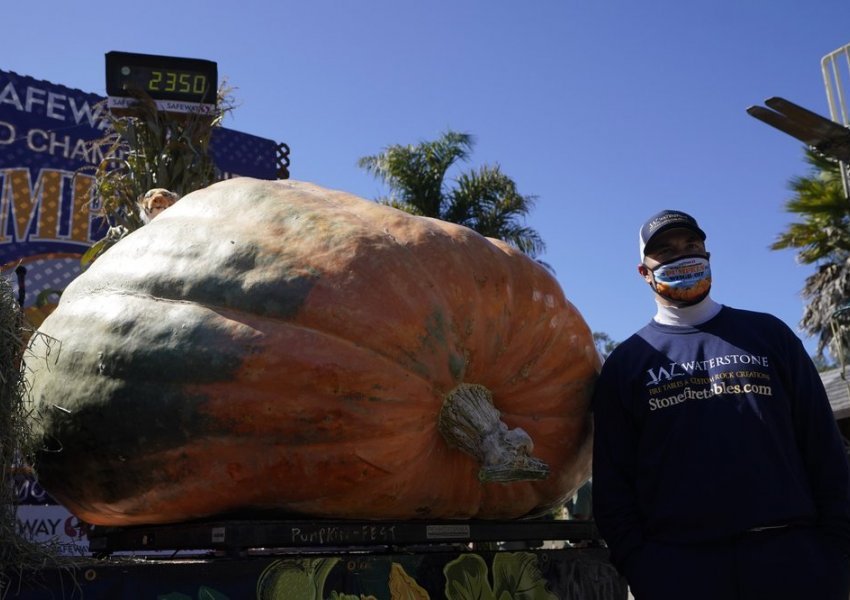 Kungulli që peshoi 1,066 kg fitoi konkursin në Kaliforni