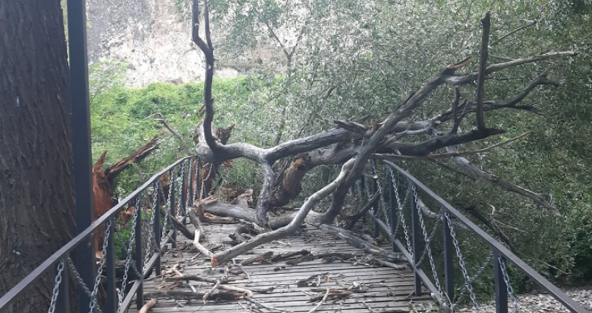 Rrëzohet lisi në Marash të Prizrenit, pamje nga ura e dëmtuar dhe e pakalueshme