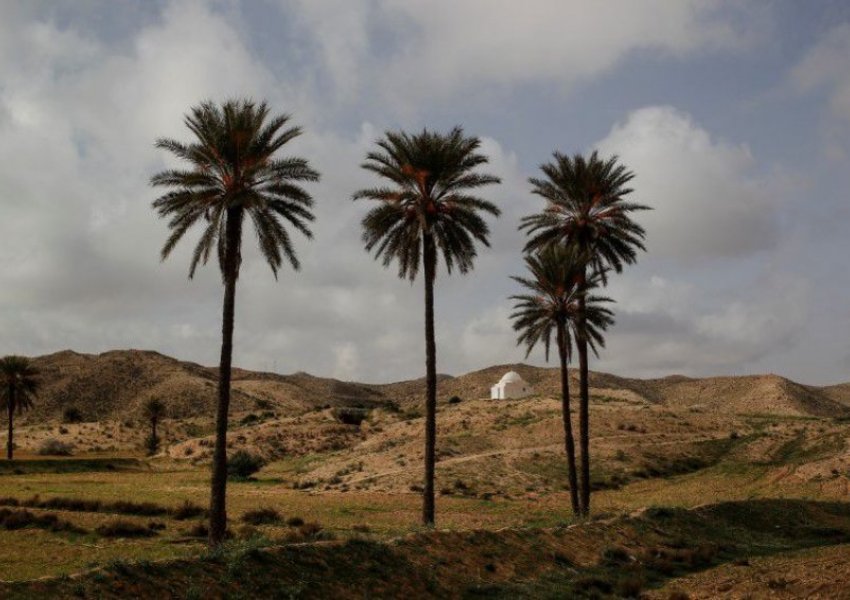 Tunizia arrin rekord temperaturash, termometri shënon 49 gradë Celcius
