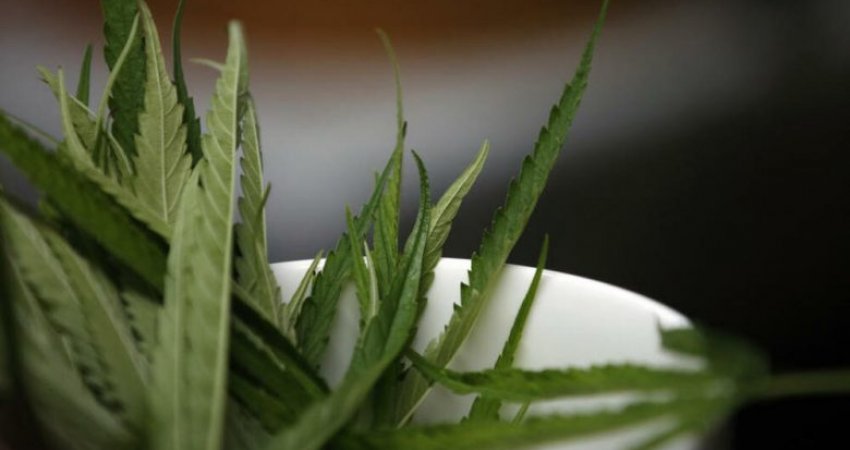 Miratohet ligji, New Yorku bëhet shteti i 15-të federal që legalizon marihuanën