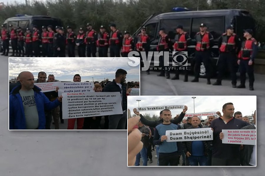 VIDEO/ Fermerët e Lushnjës në protestë, ka përplasje me forcat e shumta të policisë