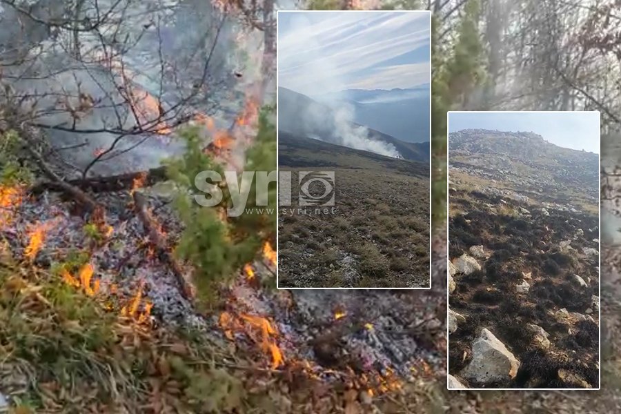 VIDEO/ Maliq: Zjarri pushton 10 ha kullota në Malin e Thatë, në rrezik Parku Kombëtar i Prespës