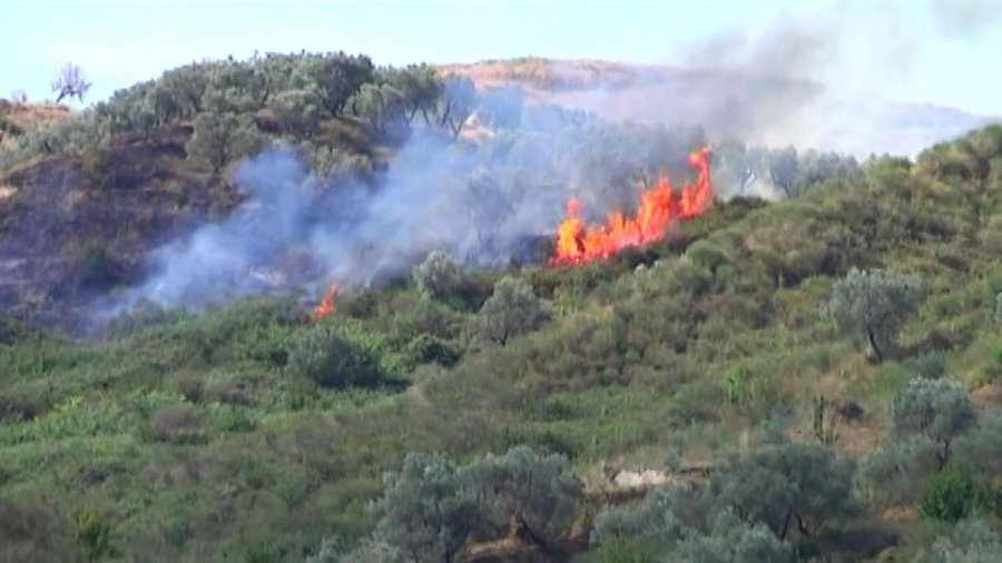 Flakët përfshijnë ullishten, dyshohet për zjarrvënie të qëllimshme, gjenden shishe me benzinë