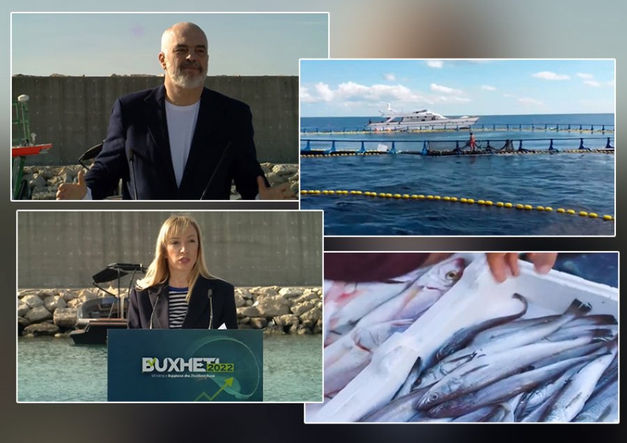 VIDEO/ Kryeministri prezanton buxhetin për bujqësinë: Pas barinjve, shkollë dhe për peshkatarët!