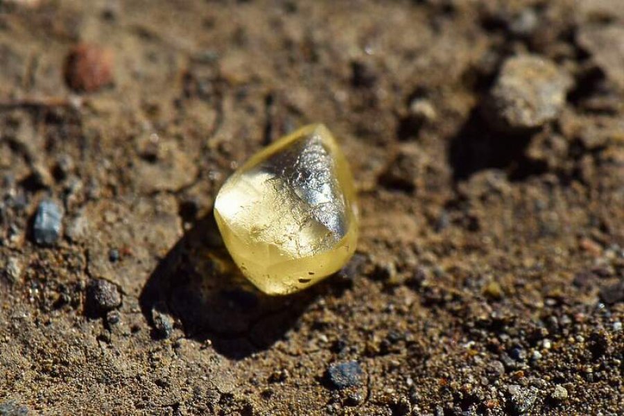 Një grua amerikane gjeti një diamant të verdhë katër karat në park