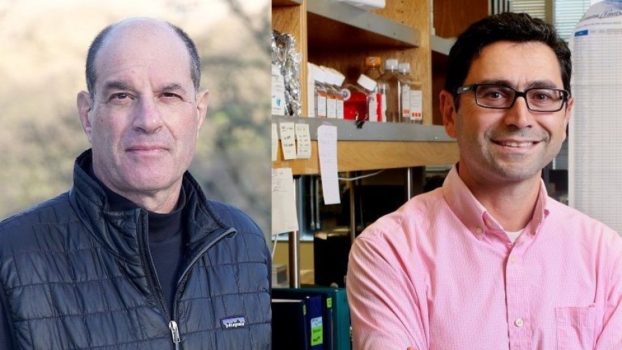Çmimin Nobel në Mjekësi e fitojnë dy mjekët amerikanë