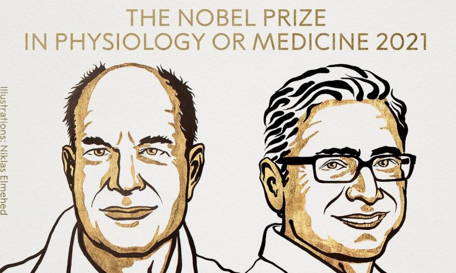 Dyshja amerikane David Julius, Ardem Patapoutian fitojnë Çmimin Nobel në Mjekësi