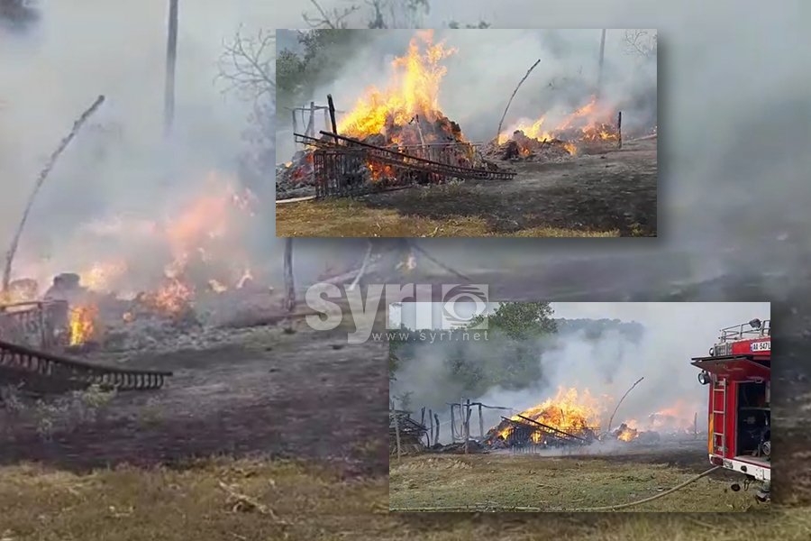 VIDEO/ Zjarri nisi në pyll por shkrumbon edhe magazinën me bazë ushqimore për blegtorinë