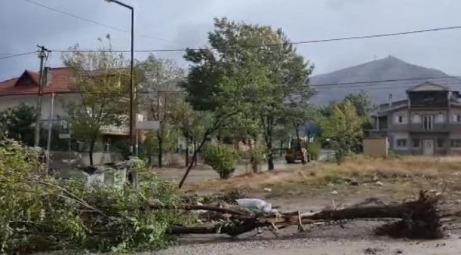 Probleme në Korçë nga era dhe reshjet, pemë të rrëzuara dhe mungesë energjie