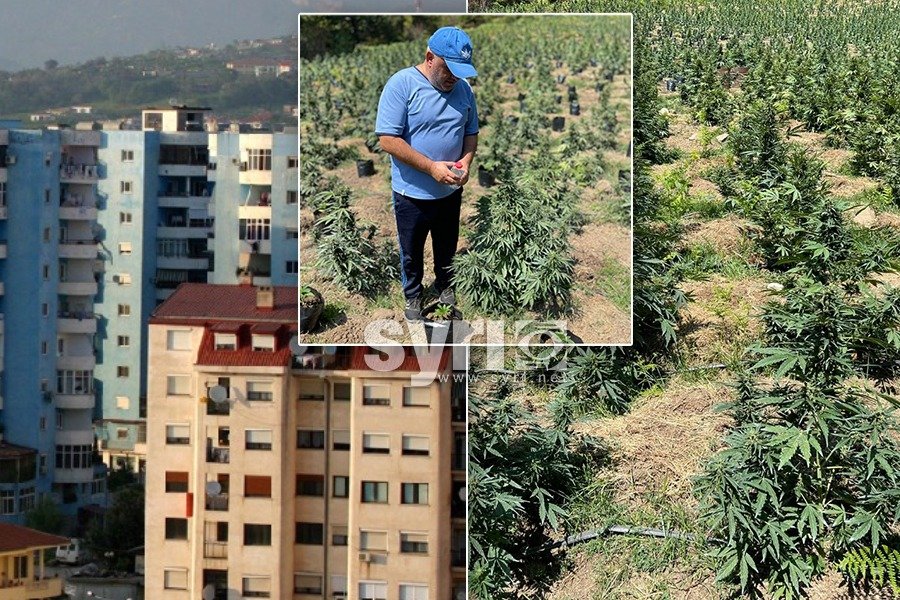 Artan Hoxha: Droga po çon në stratosferë çmimet e apartamenteve