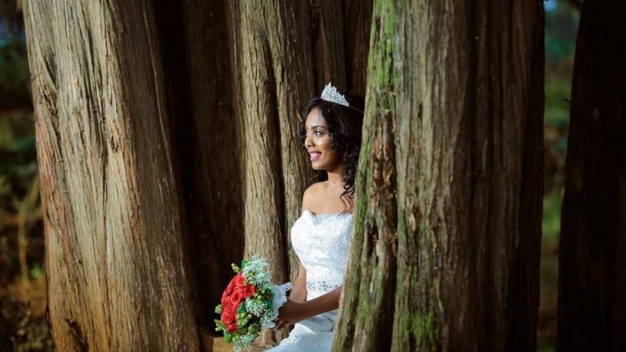 Mbi 70 gra ‘martohen’ me pemët vendase për t’i shpëtuar nga shpyllëzimi