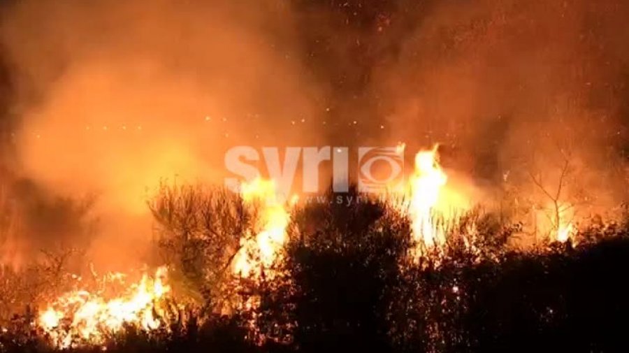 Zjarrvënesi i Selenicës, arrestohet 19-vjeçari i rrezikshëm nga Vlora