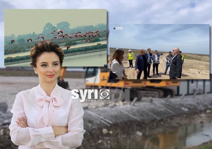 Erisa Xhixho për aeroportin e Vlorës: Po na shkatërrohet një tjetër vlerë natyrore! Është koha të themi ndal!