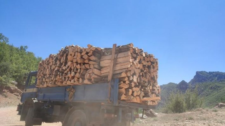 Shkatërrimi me licencë i pyjeve në Elbasan, bashkitë zgjasin kontratat koncesionare