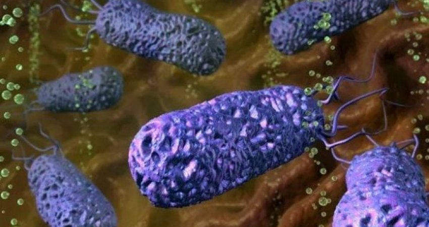 Këto janë bakteret më të rrezikshme në botë