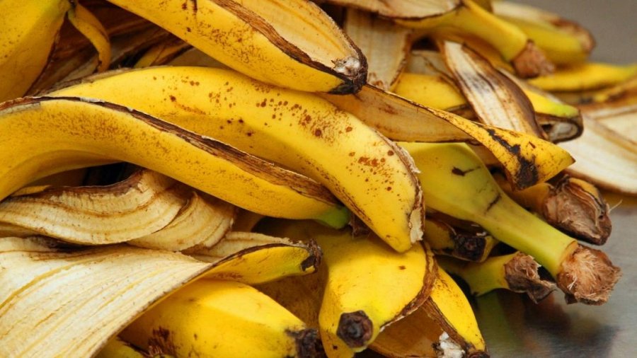 Shpërthimi i bananeve me dritë mund t'i hapë rrugën më shumë biomase 'ekologjike'