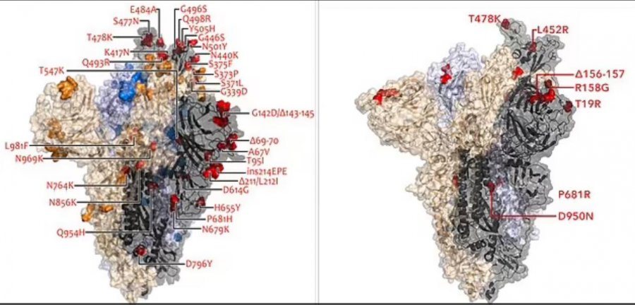 COVID-19/ Mutacioni Delta+Omicron është i vërtetë, zbulohet rasti i parë në Britaninë e Madhe