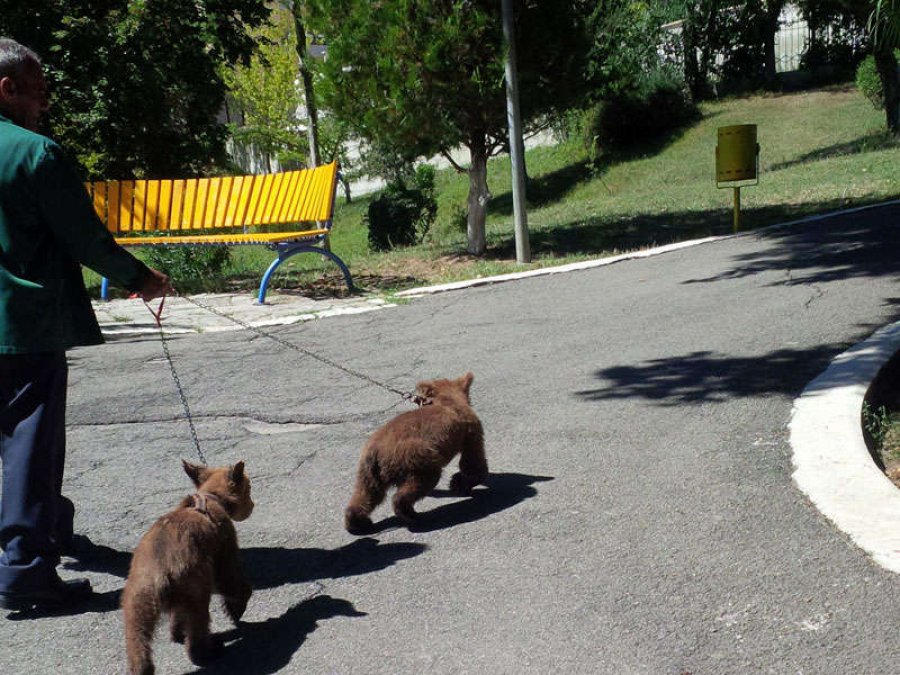 Parku Zoologjik i Tiranës, i projektua në 1959 nga arkitekti Radosllavov dhe inxhineri Maçugnaskij