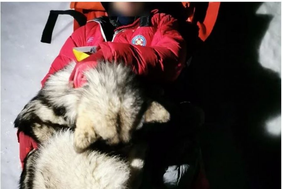 E ngrohu me trup për 13 orë, alpinisti në Kroaci shpëtohet nga qeni i tij