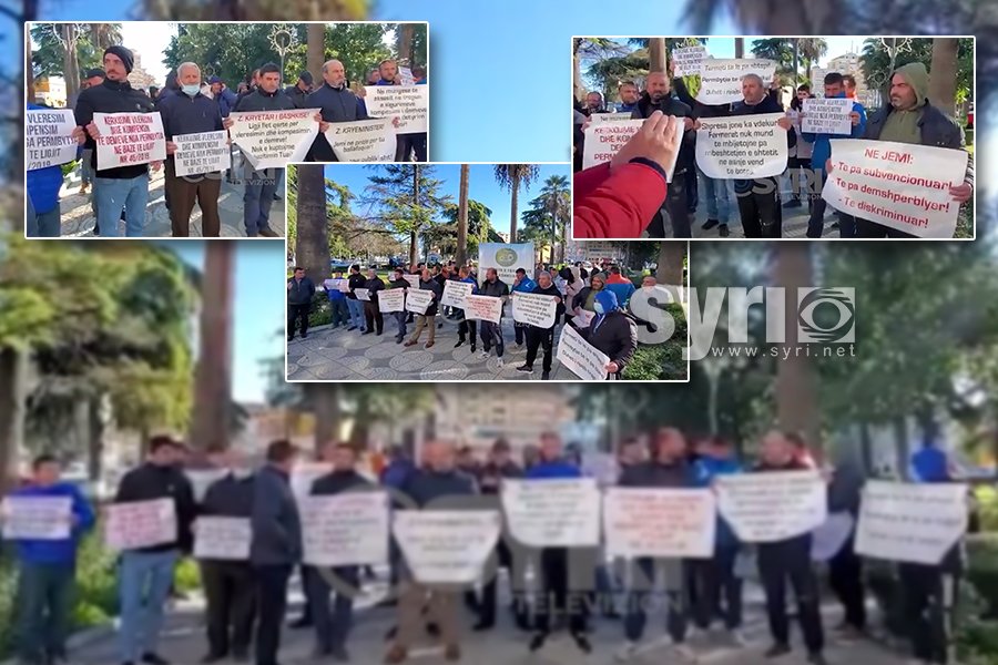 VIDEO-SYRI TV/ Protesta e fermerëve: Dëmshpërblim për luleshtrydhen