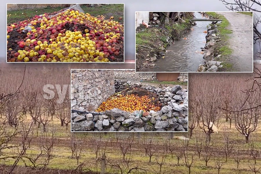 VIDEO-SYRI TV/ Fermerët e Devollit: Po falimentojmë, nuk sigurojmë dot as bukën e gojës