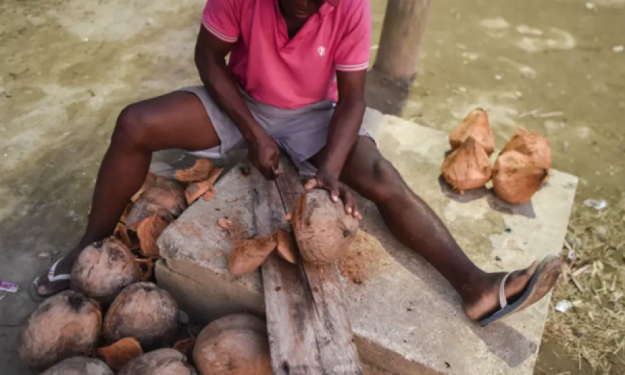 Kishin destinacion Italinë/ Gjenden të mbushura me kokainë të lëngshme 20.000 arra kokosi