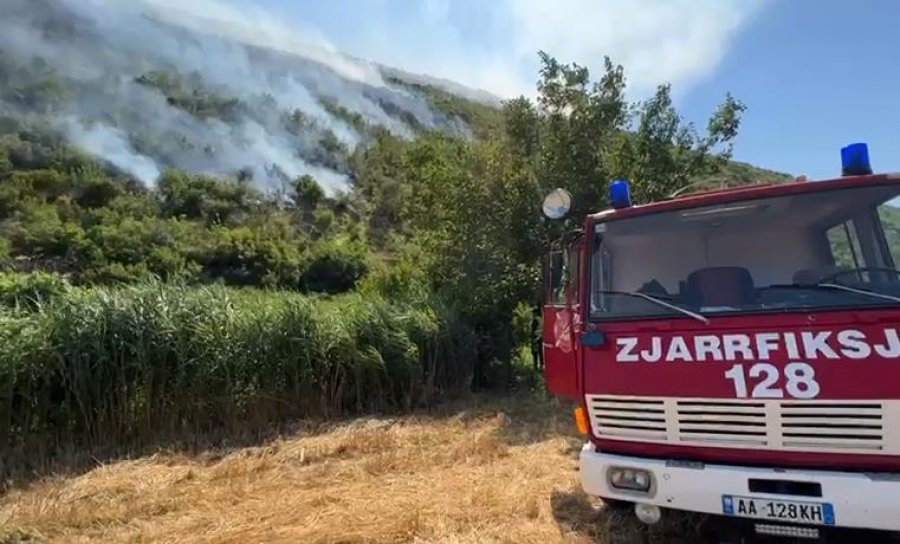 VIDEO/ Zjarr i madh në malin e Torovicës në Lezhë