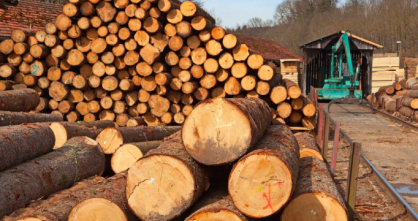 Një metër dru në Prishtinë po shitet deri në 80 euro, mund të shtrenjtohet edhe më shumë