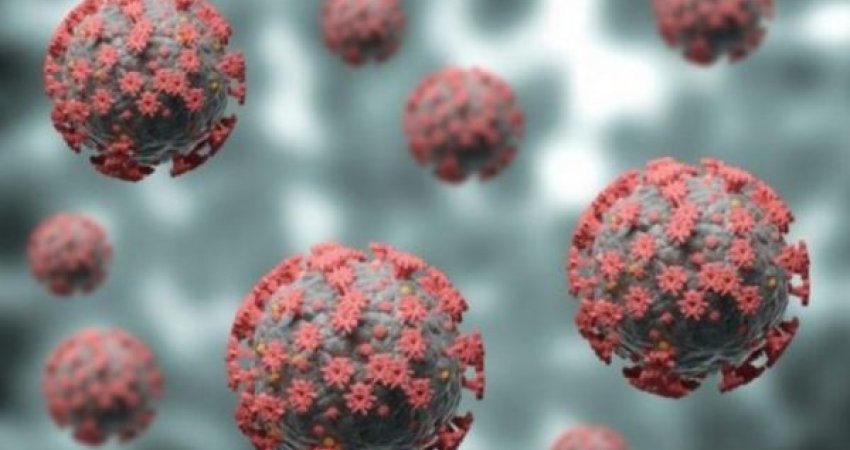 Trefishohen rastet me koronavirus në të gjithë Evropën