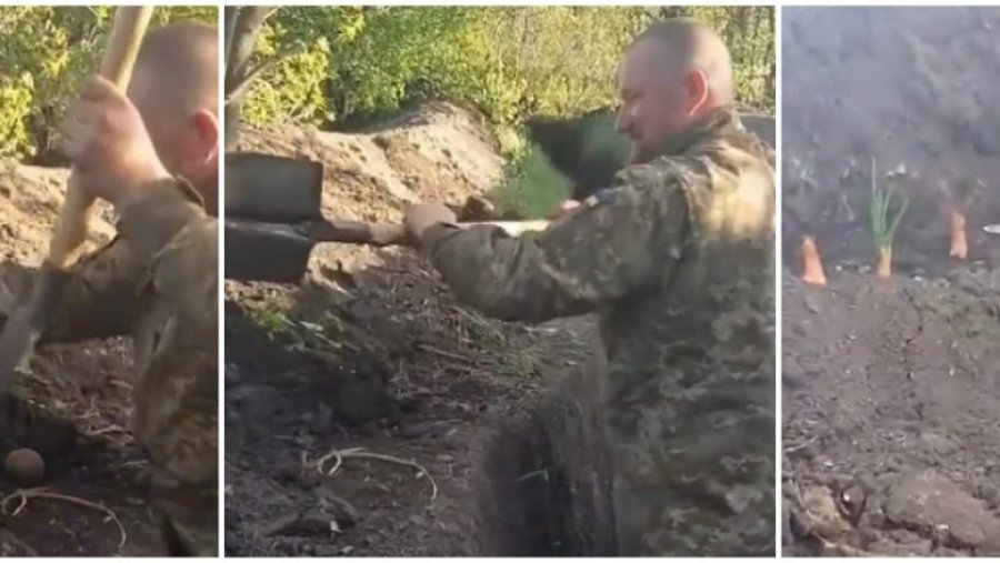 VIDEO/ Ushtarët ukrainas gjejnë kohë që në vijën e frontit të kultivojnë edhe perime