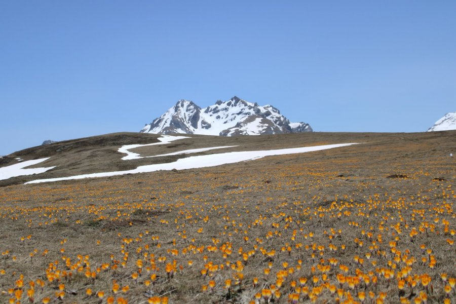 Zyrtarisht pranverë: Çfarë moti pritet të shtunën dhe të dielën, 5-6 mars 2022