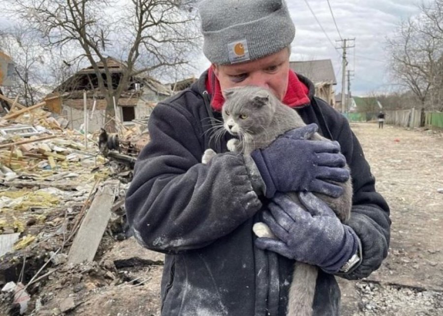 E trishtë/ Ukrainasi humb të gjithë familjen e tij në sulm, vetëm ai dhe macja mbijetuan