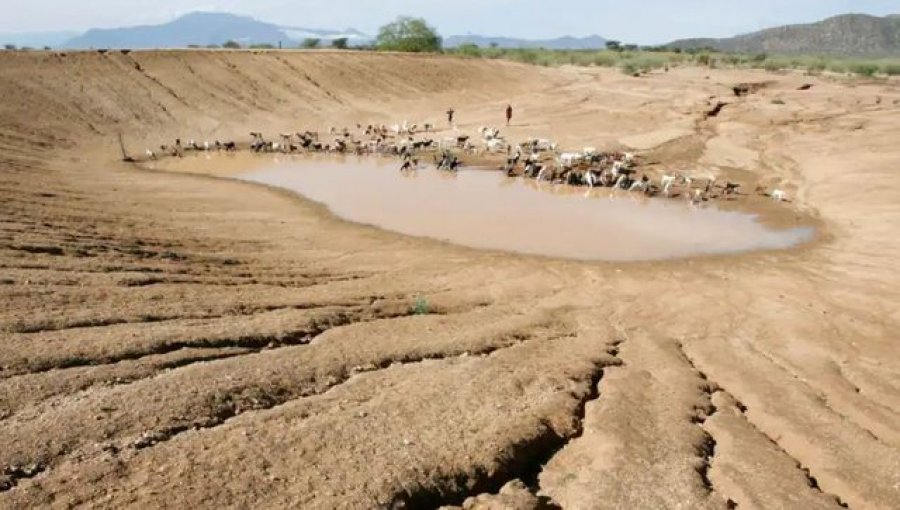 OKB: 3.6 miliardë njerëz nuk kanë qasje te uji i pijshëm