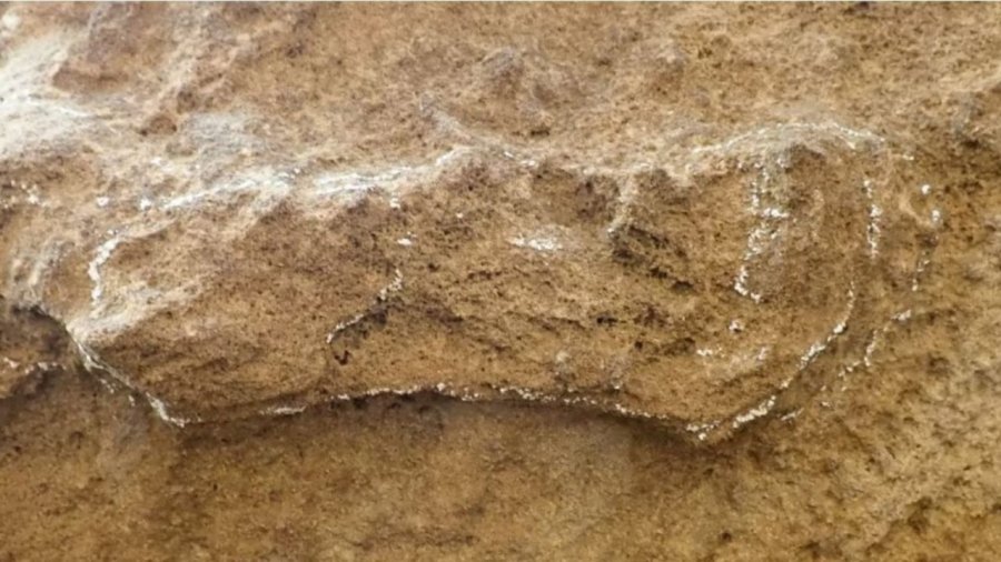 Daton 153 mijë vjet më parë, zbulohet në Afrikën e Jugut gjurma më e vjetër e njeriut