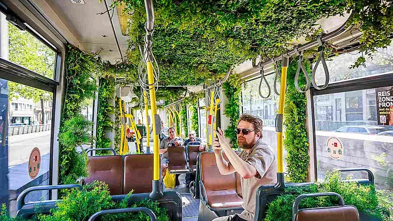 Pse ky qytet belg e shndërroi tramvajin, në një kopsht të gjelbër?