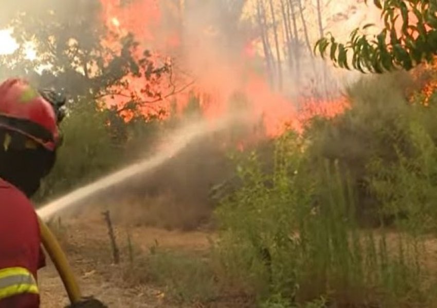Spanjë, zjarret e mëdha përpijnë mbi 20 mijë hektarë