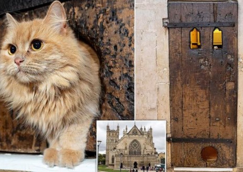 Britani/ Zbulohet porta e aksesit për mace e shekullit të XVI në katedralen 'Exeter'