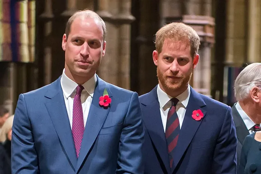 Sa janë shanset që Princit Harry-t të jetë Këshilltar i William ?!