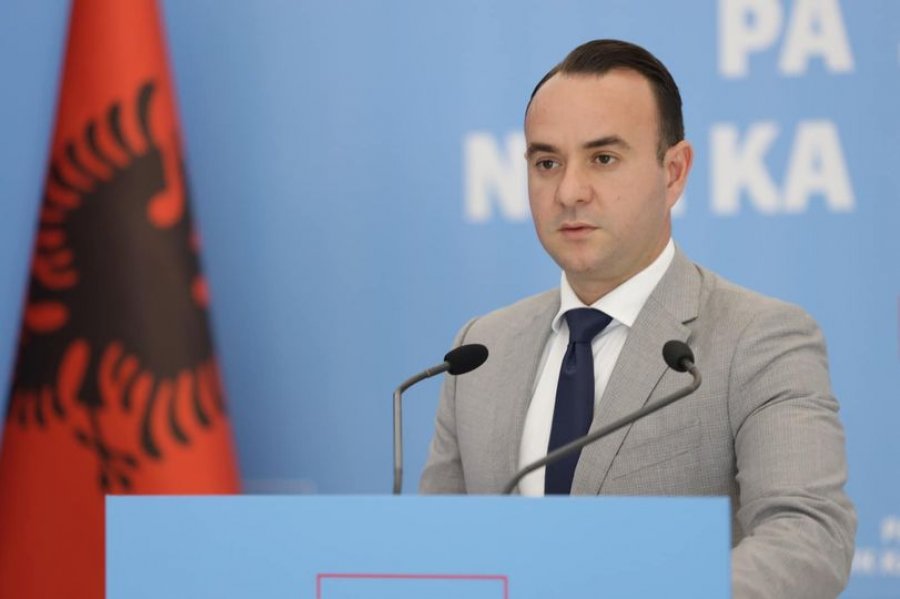 Vendimi për Xhaçkën, Balliu: Kushtetuesja zyrtarizoi rënien e shtetit si rrjedhojë e sulmit të narko - parlamentit