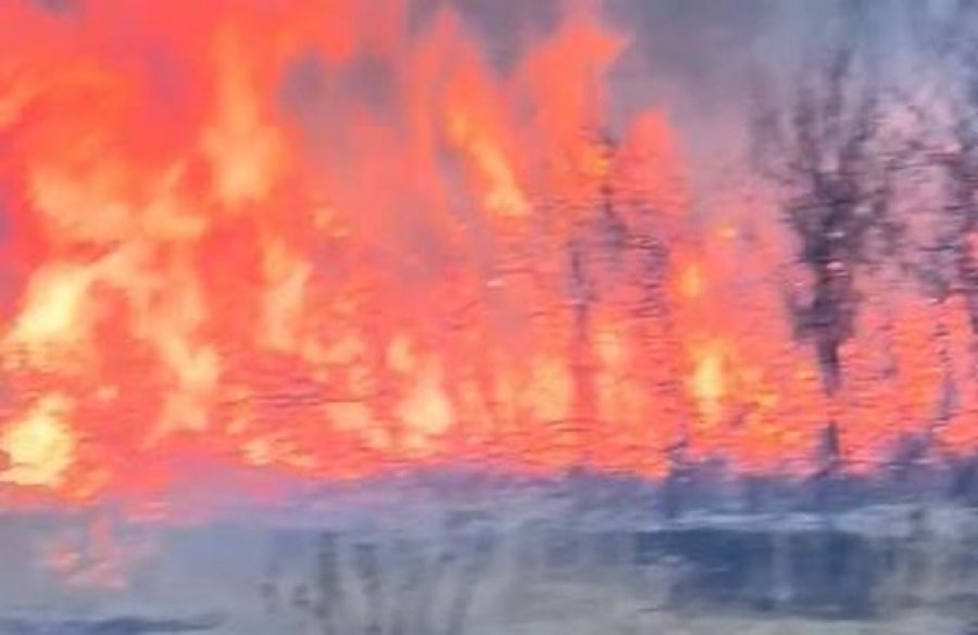 Zjarr masiv në Gjirokastër, përfshihen nga flakët fushat në fshatin Shtëpëz