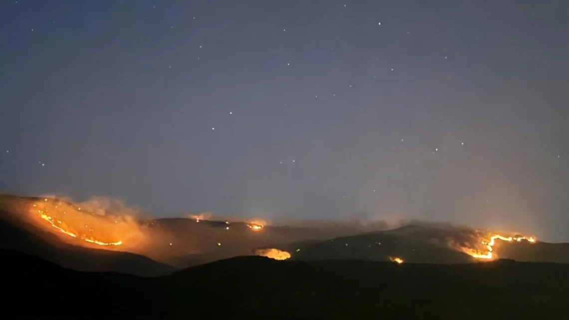 Zjarr në fshatin Lapardha në Berat/ Digjen shkurre dhe mbeturina, dyshohet i qëllimshëm