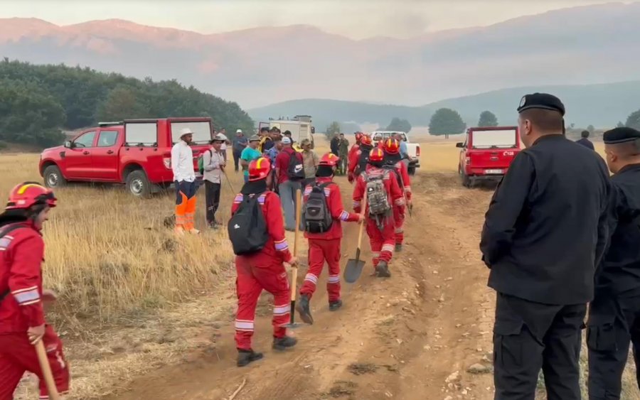 VIDEO/ Në Pustec, dita vendimtare për të shpëtuar Parkun e Prespës nga zjarret, dërgohen 80 forca