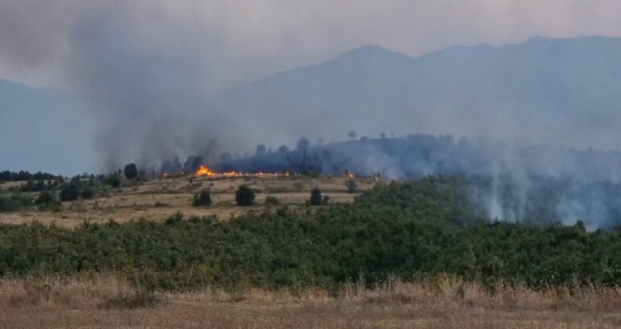 Zjarr masiv në afërsi të Burrelit