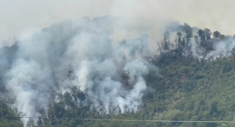 Zjarri rrezikon banesat në Bulqizë, kërkohet ndërhyrje nga ajri