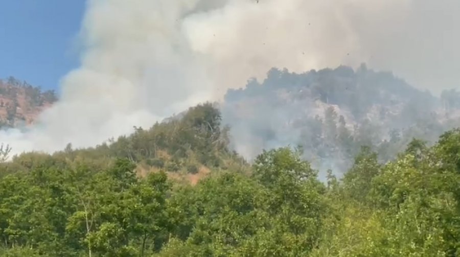 Vazhdojnë zjarret masive në Bulqizë, digjen qindra hektarë pyje