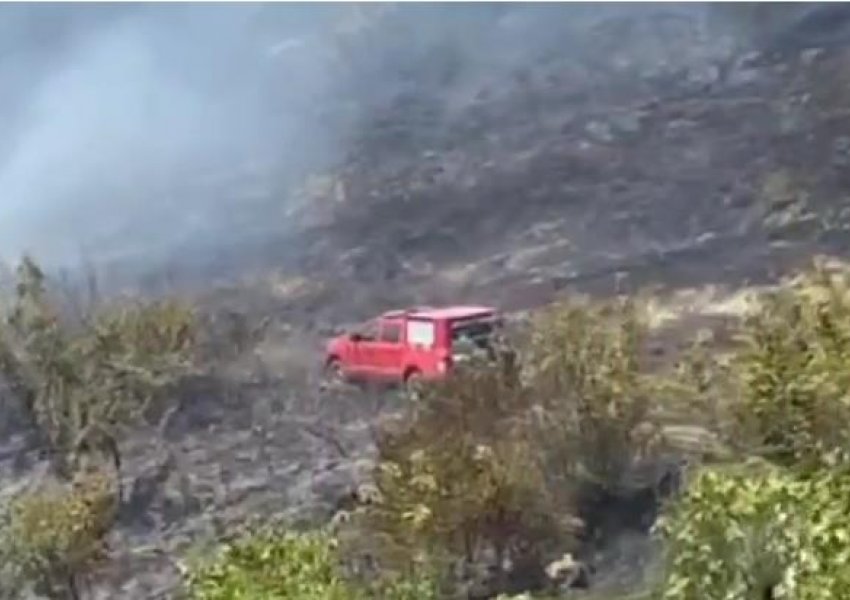 Zjarr në fshatin Drenovicë në Dimal, dyshohet të ketë qenë i qëllimshëm