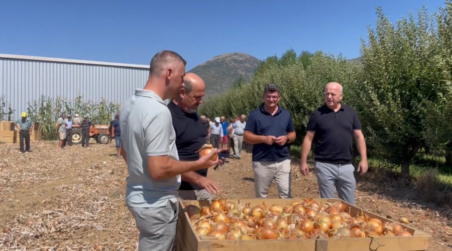 FOTO-Fermerët e Devollit në mbijetesë/ PD: Program të mirëfilltë për daljen nga gjendja e rëndë