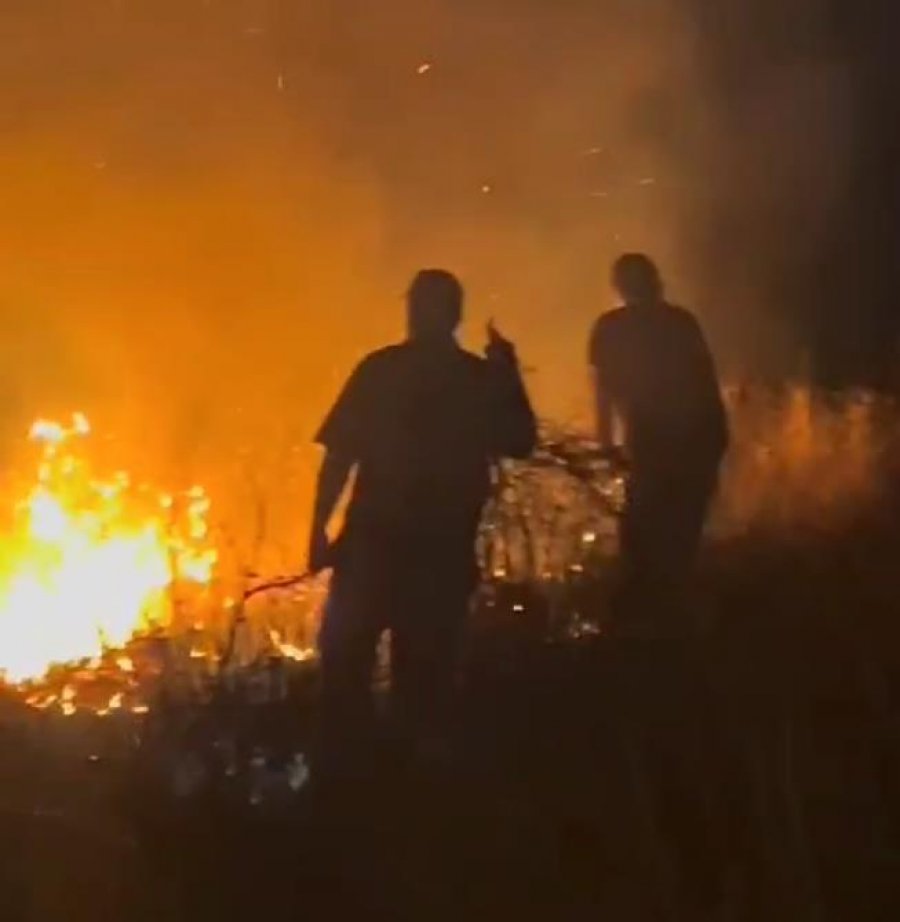 VIDEO/ Shuhet zjarri masiv në Gjirokastër, luftë me flakët për mbrojtjen e 4 fshatrave